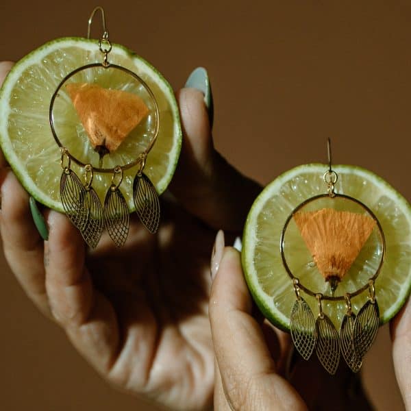 Brass California Poppy by Astro & Sol - Handcrafted brass earrings featuring preserved yellow poppy blooms set in lustrous brass frames.